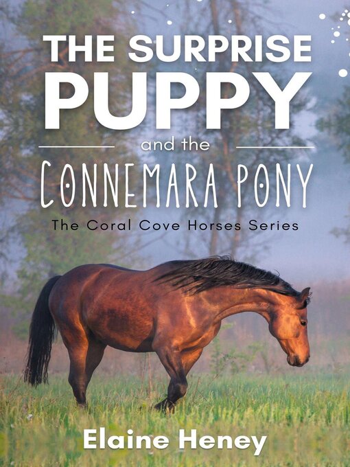 Title details for The Surprise Puppy and the Connemara Pony--The Coral Cove Horses Series by Elaine Heney - Available